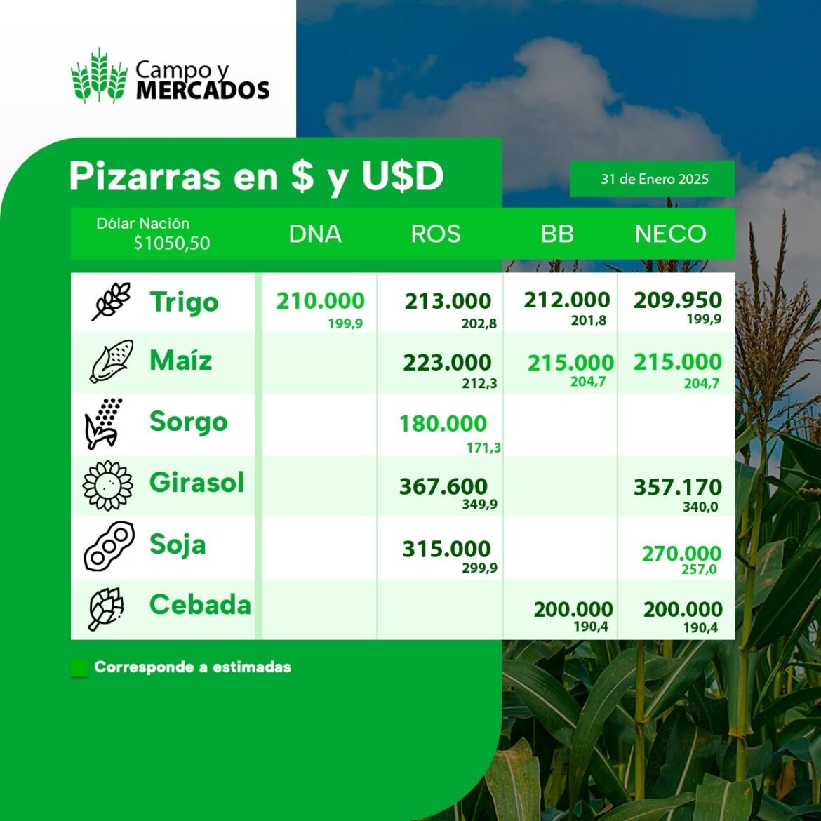 pizarra 3-2-25 mercado de granos